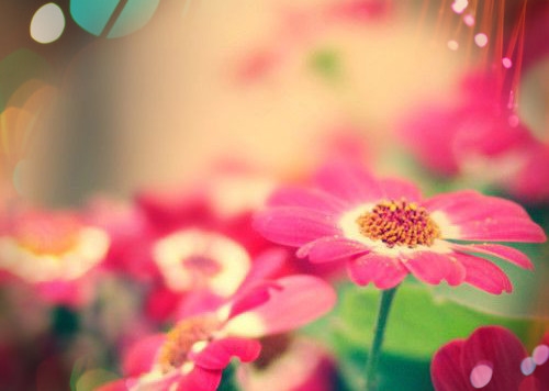 二婚祝福语简短上档次(50句)