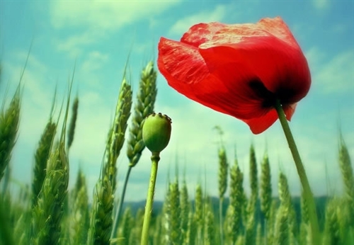 男士网名成熟霸气的稳重(精选45个) 男士网名成熟霸气的稳重(精选45个)