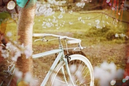 好听又可爱的仙女昵称(精选45个)