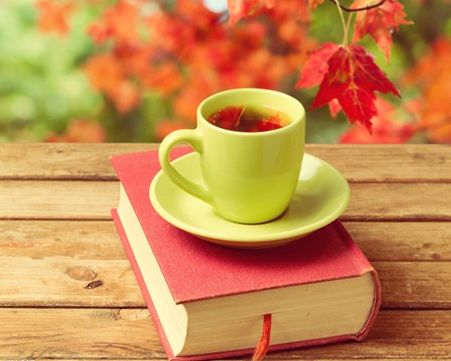 温柔干净的网名二字女(55个)