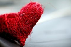 抖音个人简介好听的句子(精选54句)