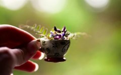 教师节写给数学老师的话(精选39句)