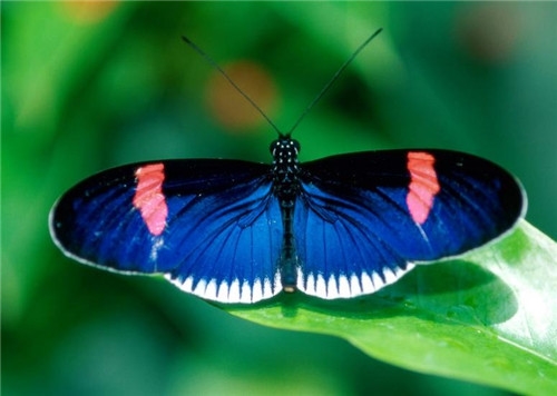 男人文化高雅内涵的网名(53个)