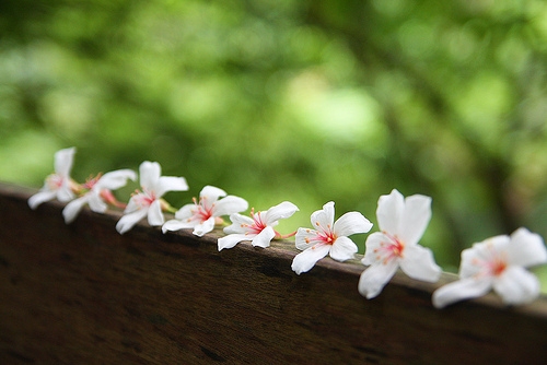 做梦醒来以后发朋友圈(51句)
