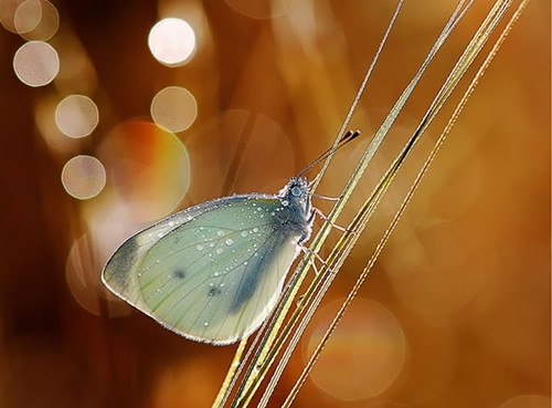 有内涵讽刺一个人的虚伪句子(50句)