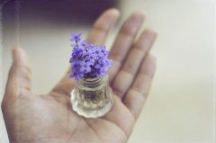 绝版高冷女网名(精选44个)