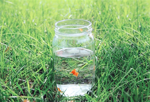 让人过目不忘的昵称男孩(49个)