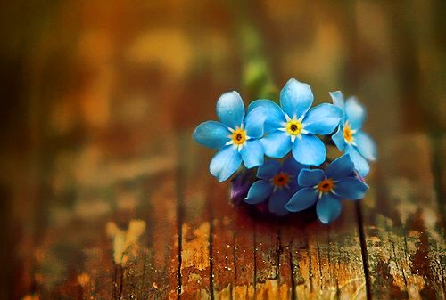 对未来充满希望的句子(精选48句)