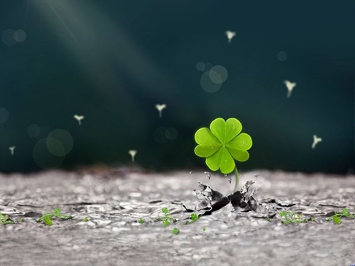 精选的唯美幸福的句子大全(49句)