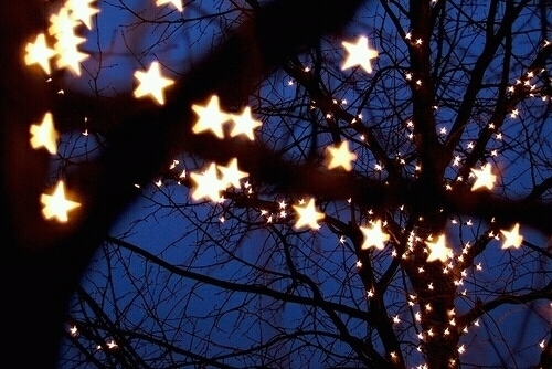 轻生前告别的句子(精选57句)