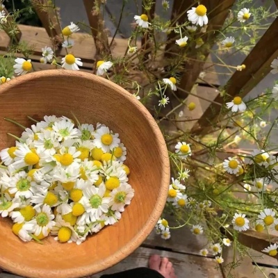 2023年自带好运头像(精选12张)