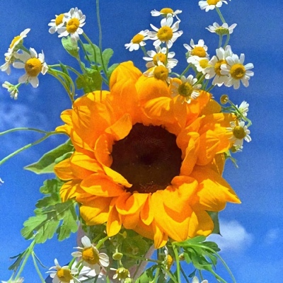 2023年自带好运头像(精选12张)