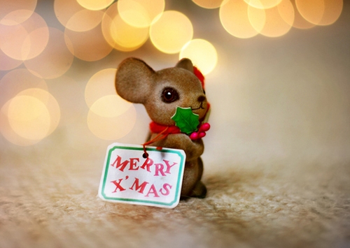 帅气的男生网名(精选47个)