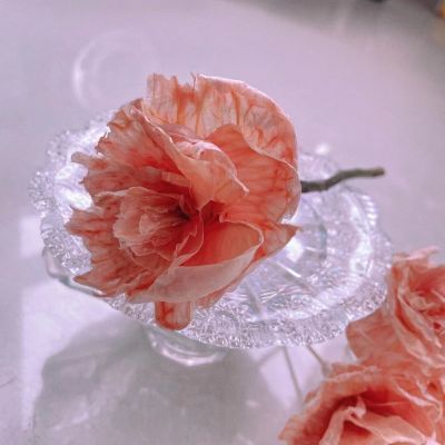 适合中年女性的微信头像图片花朵