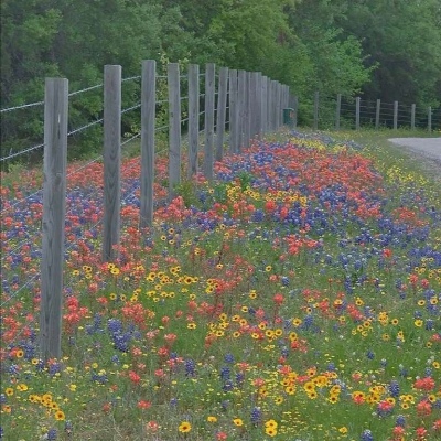 2023年运势好的头像(精选10张)