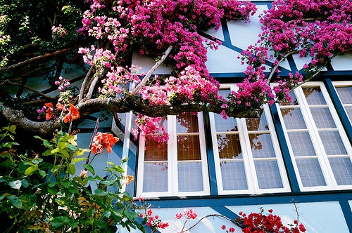 明信片小清新温暖寄语(精选49句) 明信片小清新温暖寄语(精选49句)