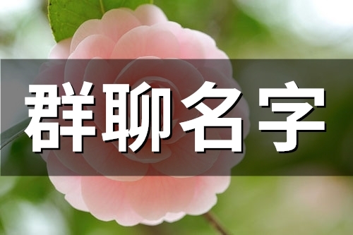 群聊名字(精选50个)