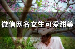 微信网名女生可爱甜美(50个)