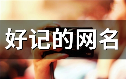 2023好记的网名(55个)