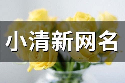 2023小清新网名(48个)