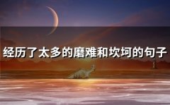 经历了太多的磨难和坎坷的句子(精选53句)