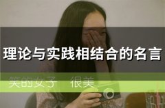理论与实践相结合的名言(51句)