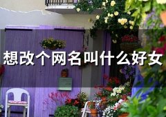 想改个网名叫什么好女(55个)