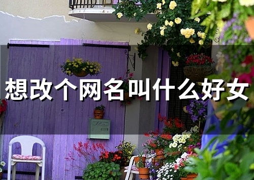 想改个网名叫什么好女(55个)