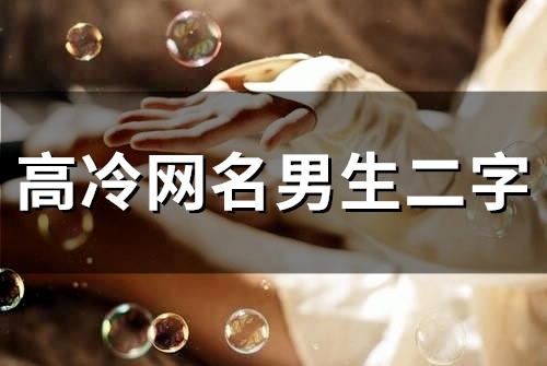 高冷网名男生二字(50个)