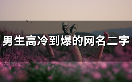 男生高冷到爆的网名二字(67个)