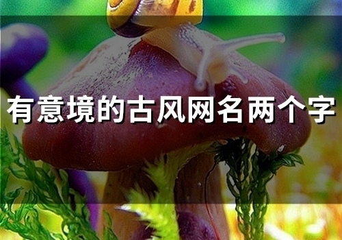 有意境的古风网名两个字(48个)
