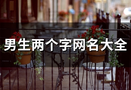 男生两个字网名大全(52个)