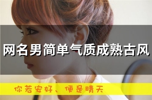网名男简单气质成熟古风(精选46个)