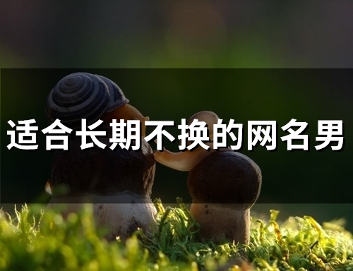 适合长期不换的网名男(60个)