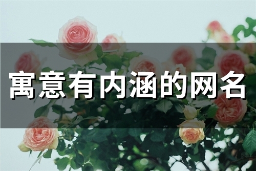 2023寓意有内涵的网名(47个)