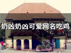 奶凶奶凶可爱网名吃鸡(52个)