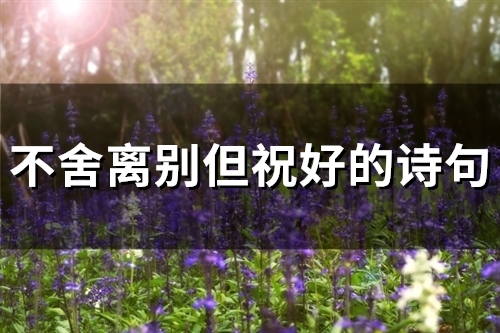 不舍离别但祝好的诗句(56句)