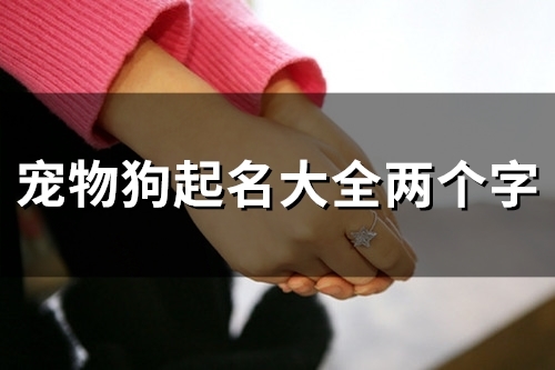 宠物狗起名大全两个字(51个)