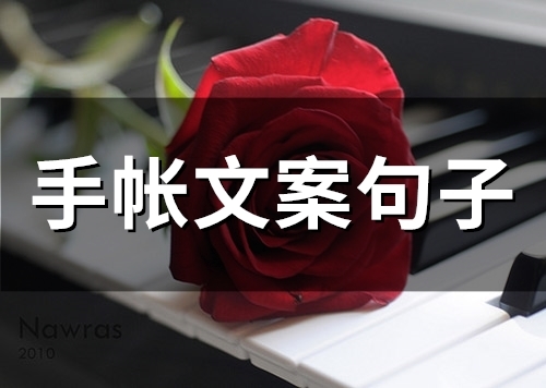 手帐文案句子(47句)