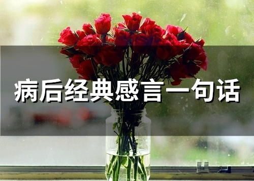 病后经典感言一句话(精选53句)
