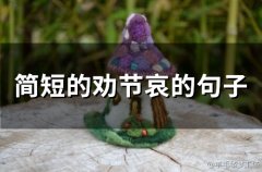 简短的劝节哀的句子(精选44句)