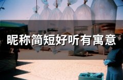 昵称简短好听有寓意(46个)