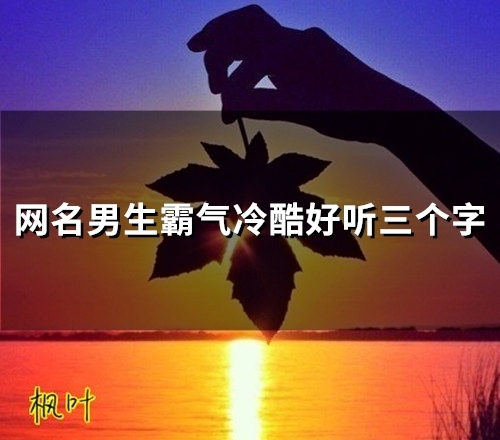网名男生霸气冷酷好听三个字(精选48个)