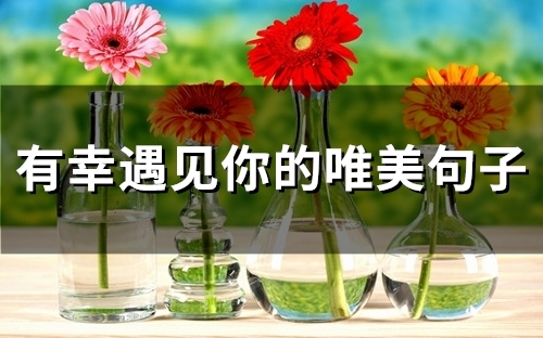 有幸遇见你的唯美句子(33句) 有幸遇见你的唯美句子(33句)