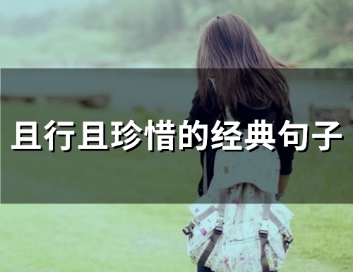 且行且珍惜的经典句子(45句)