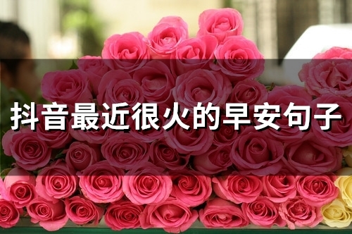 抖音最近很火的早安句子(54句) 抖音最近很火的早安句子(54句)