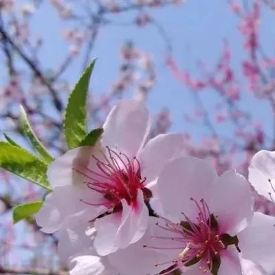 人财两旺的图片微信头像(精选12张)