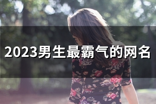 2023男生最霸气的网名(48个)