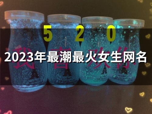 2023年最潮最火女生网名(59个)