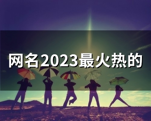 网名2023最火热的(精选49个)